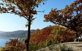 Belvedere - Das Bio Garni&suitehotel Am Edersee Waldeck (hessen)